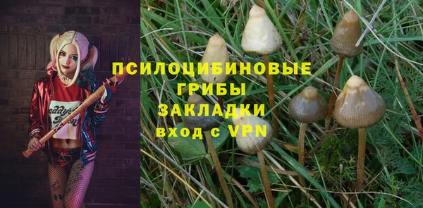 ГАЛЛЮЦИНОГЕННЫЕ ГРИБЫ Вязники