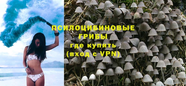 2c-b Горно-Алтайск