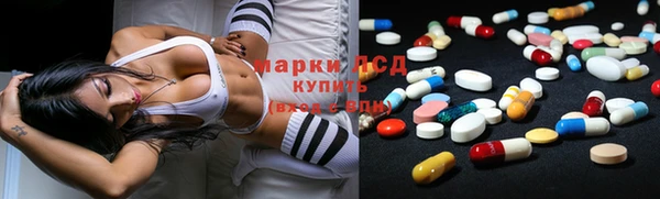 ГАЛЛЮЦИНОГЕННЫЕ ГРИБЫ Вязьма