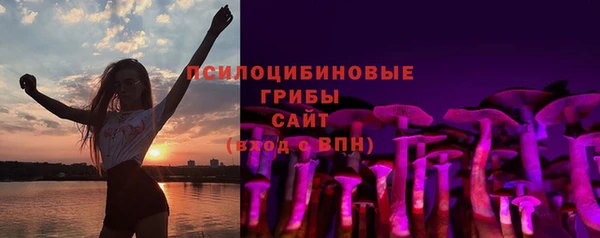 ГАЛЛЮЦИНОГЕННЫЕ ГРИБЫ Вязники