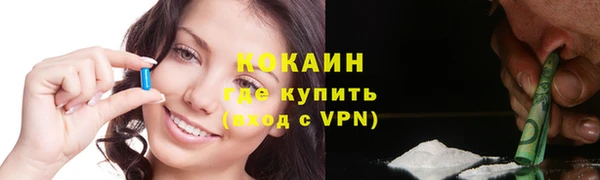 PSILOCYBIN Вяземский