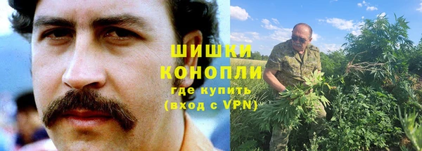 ГАЛЛЮЦИНОГЕННЫЕ ГРИБЫ Вязьма