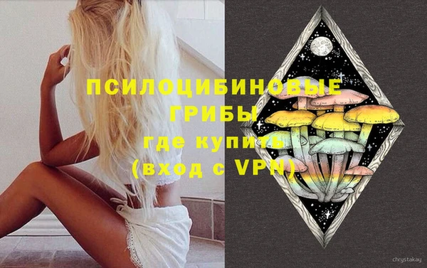 ГАЛЛЮЦИНОГЕННЫЕ ГРИБЫ Вязьма