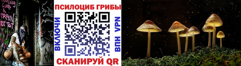 KRAKEN рабочий сайт где найти Омутнинск Псилоцибиновые грибы MAGIC MUSHROOMS
